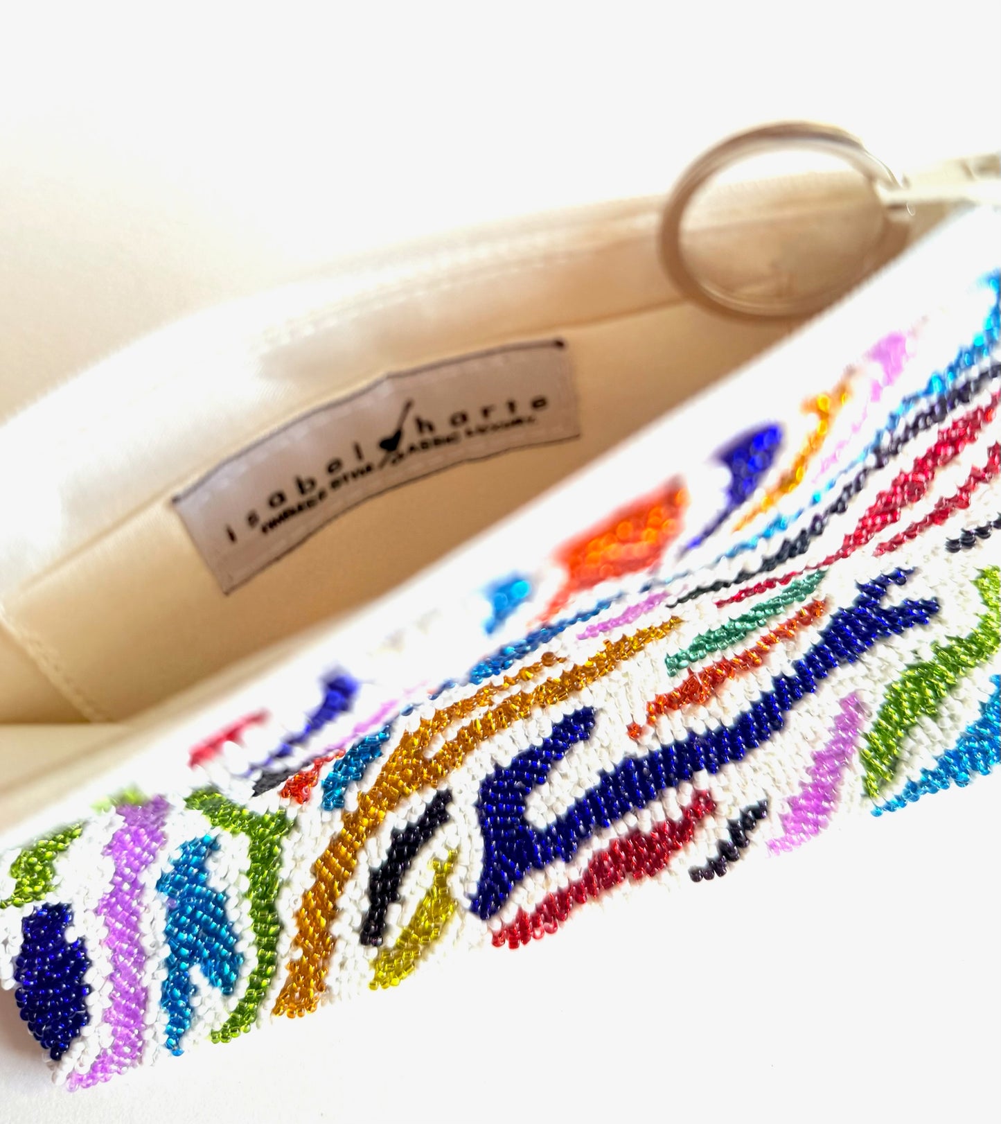 Rainbow Zebra Accessory Pouch